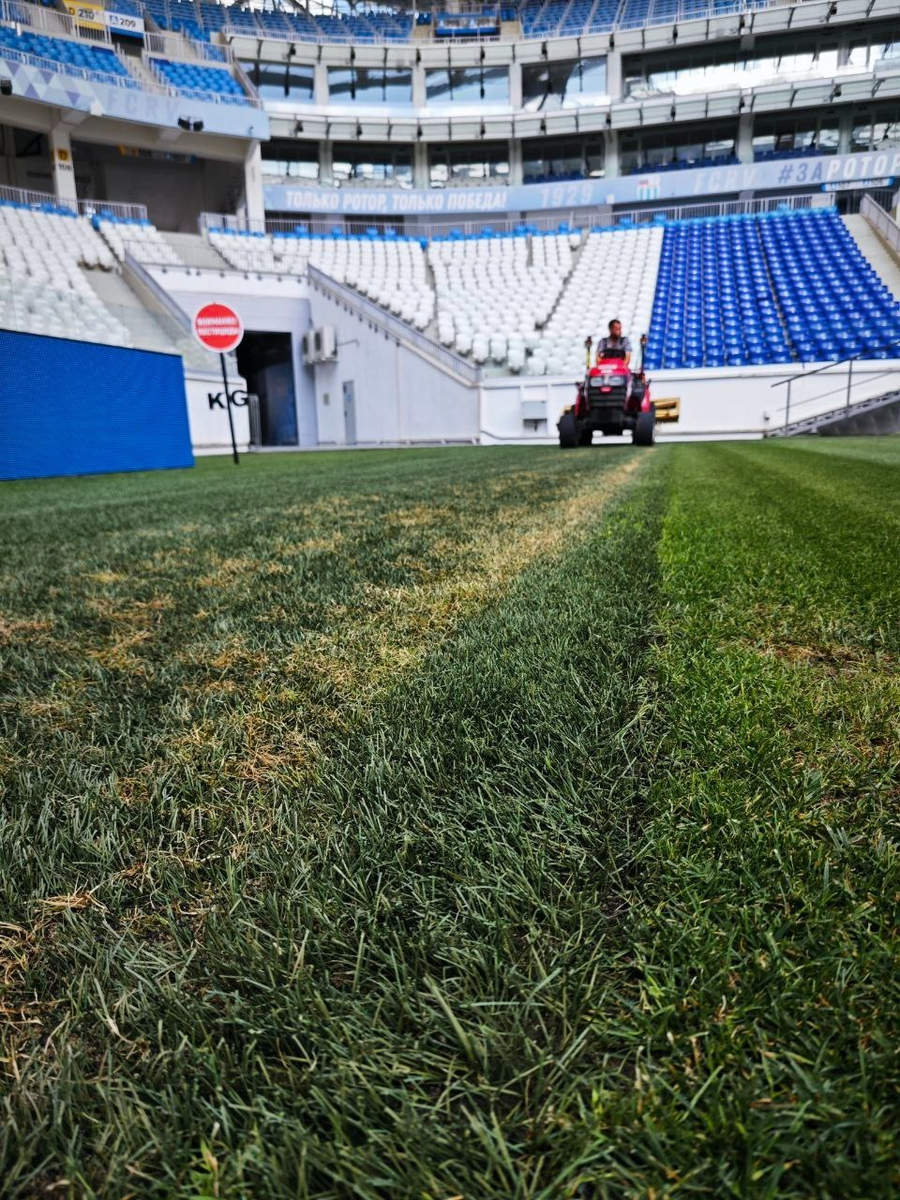 Борьба с сорняками на искусственном газоне